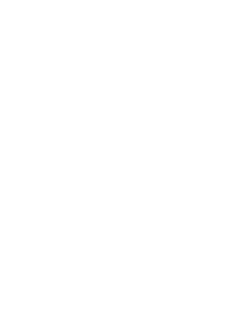 Fire icon