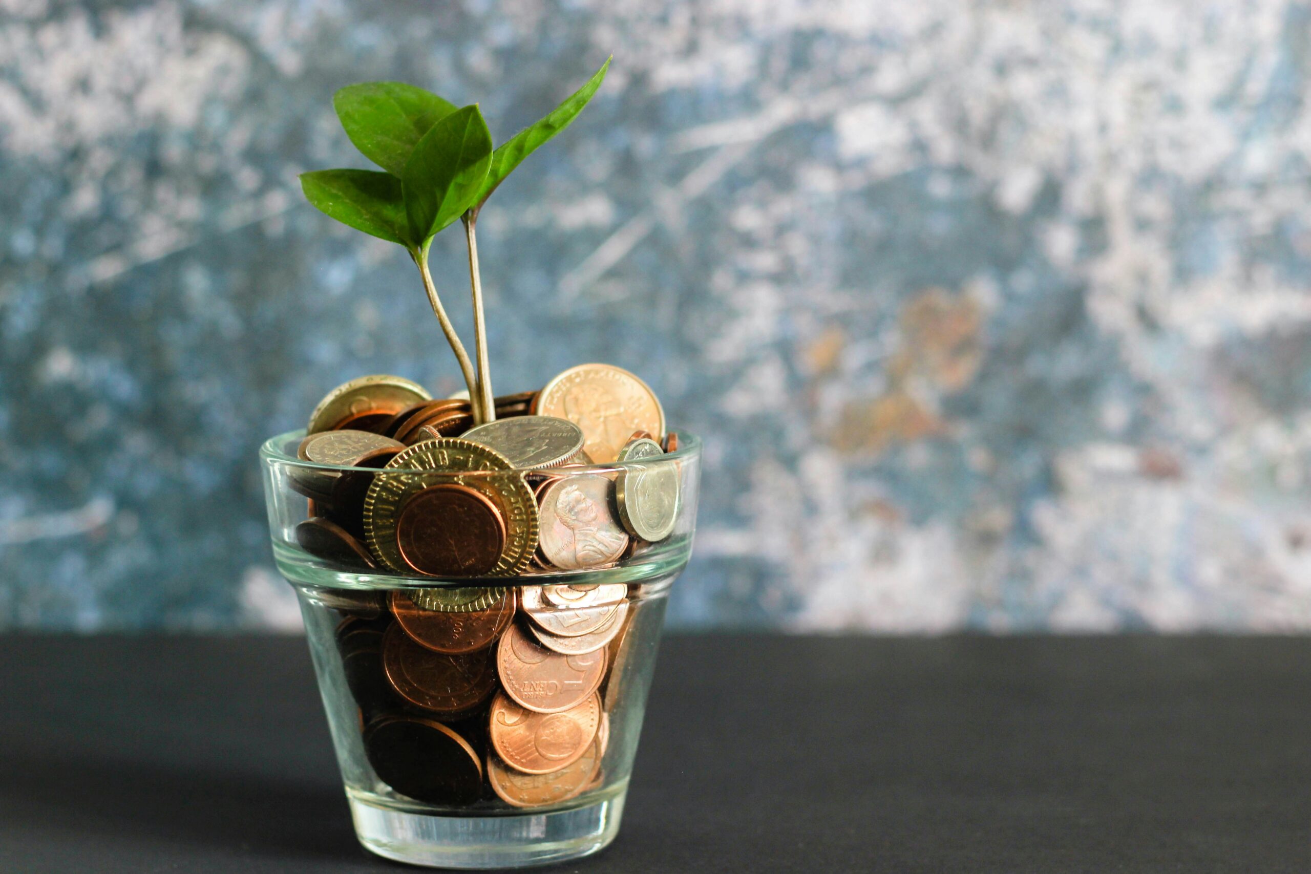 Personal Finances Check-Up